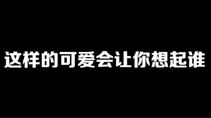 这么可爱的队友会让你想起谁