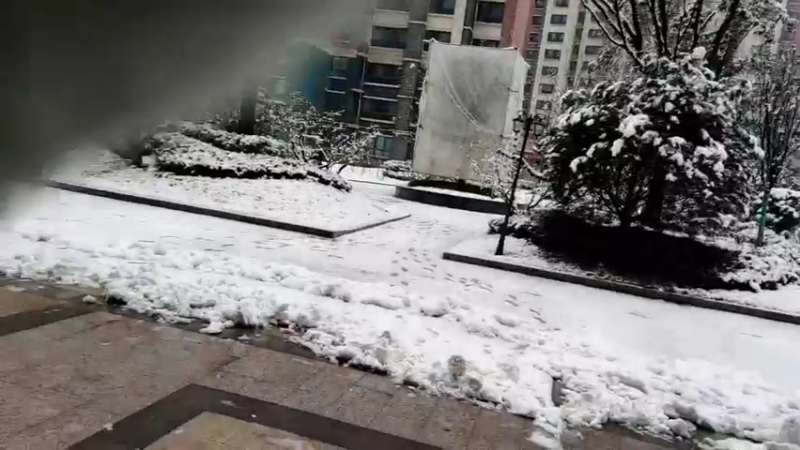 【2022-01-28 11点场】兮饭锐雯：2000万输完了，主播疯求了