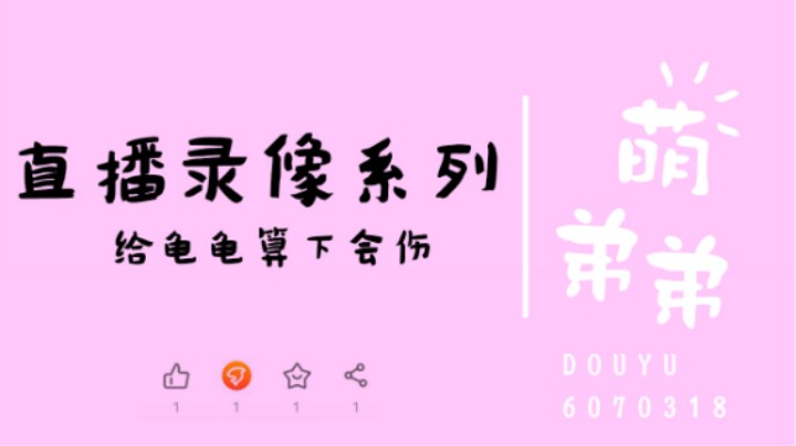 给龟龟算下会伤