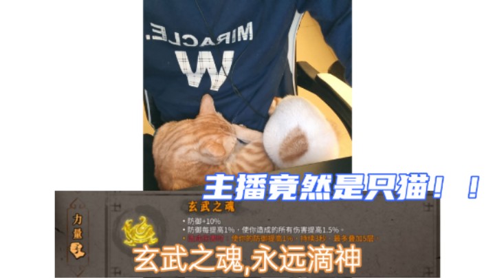 【暖雪】狂雪难度｜玄武流万剑实况视频