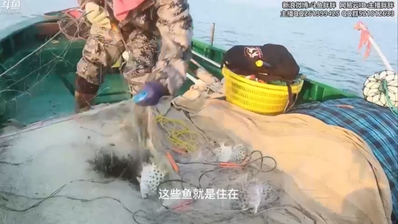 【2022-01-28 03点场】胖胖灬：胖胖OB：左手\JKL\乌兹\肉鸡