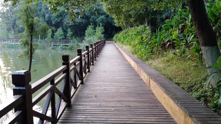 牧场物语双子村9