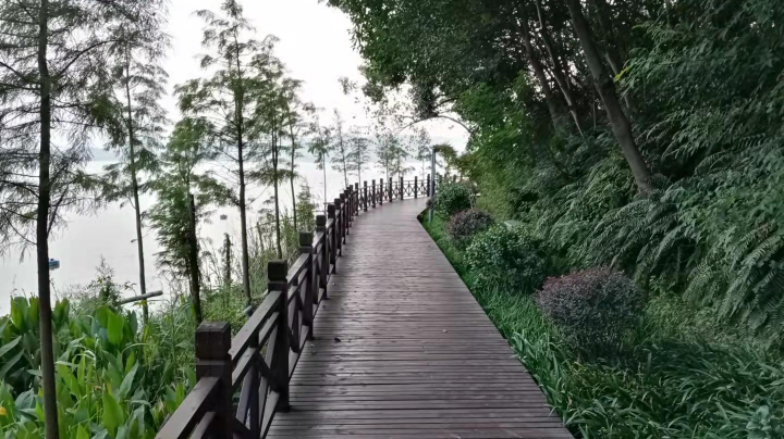 牧场物语双子村10