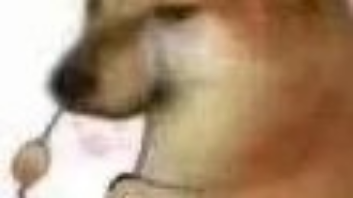 vb直播回看