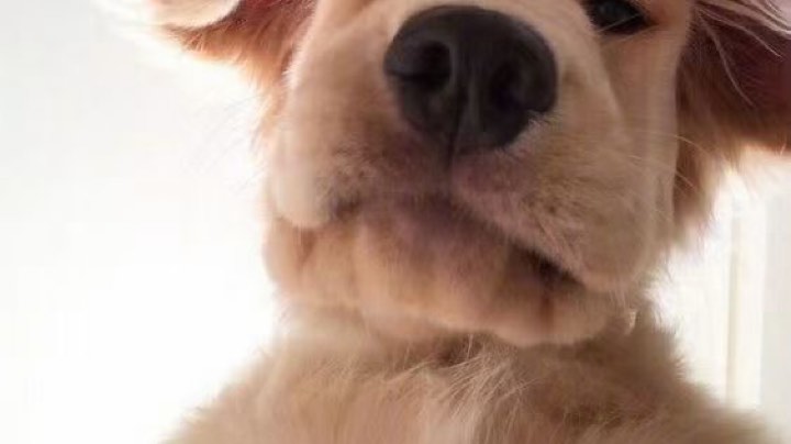 1.28（3）直播回看