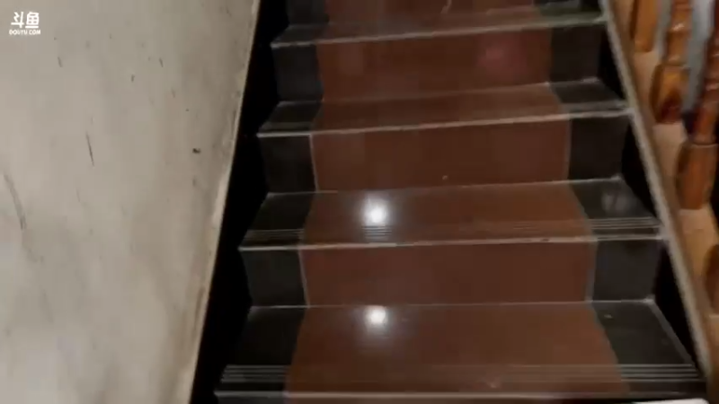 【2022-01-29 14点场】大胖狗koko：大胖狗养猪记