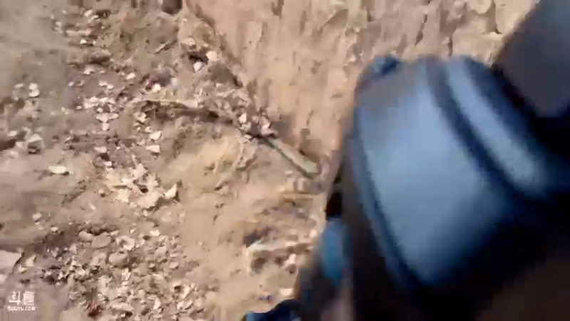 【2022-01-29 14点场】主播阿郎：新年快乐哦 320155