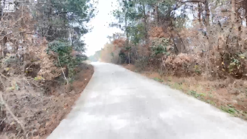 【户外】百变姑姑肖淑洁的精彩时刻 20220130 15点场