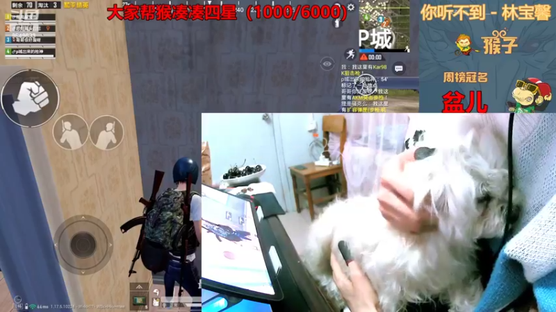 【2022-01-30 17点场】是猴子不是Monkey：山中无老虎，猴子称霸王！
