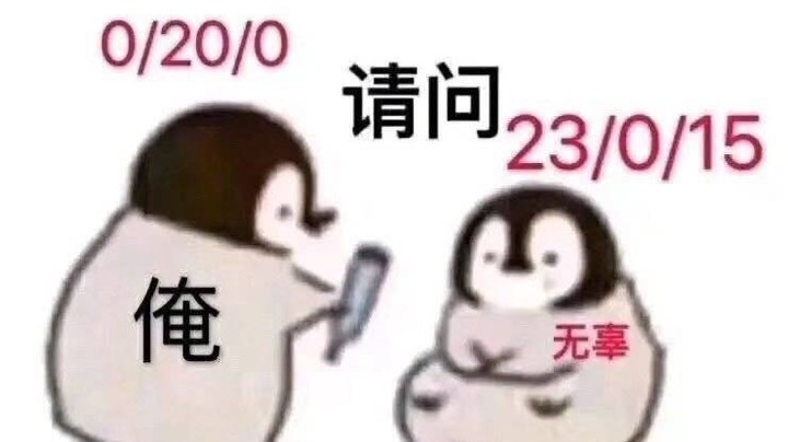 嘿嘿赵信好猛