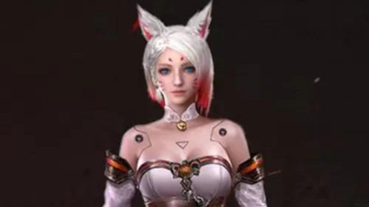 新主播，求订阅。