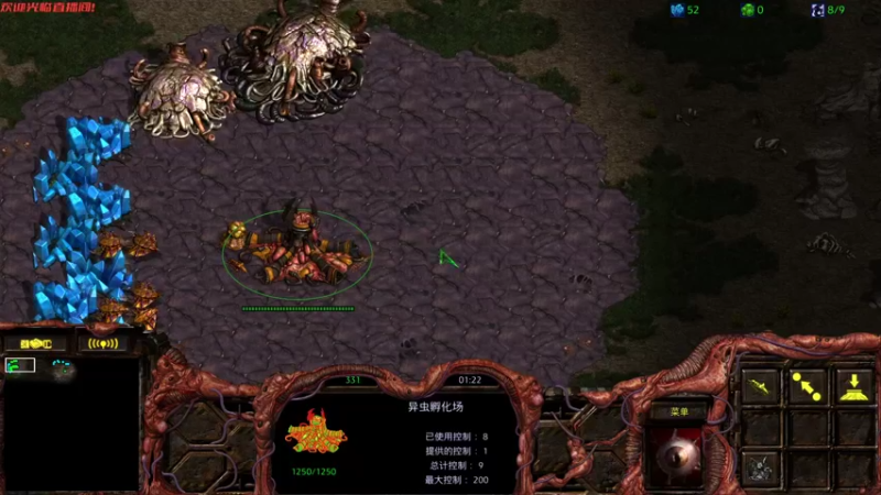 无敌Zerg斗魂1v1 上 2022013113