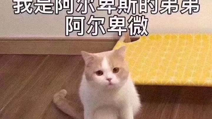 【嘤嘤怪】周六组队道具我还能冲