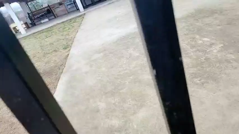 【2022-02-01 10点场】洪湖小肖：祝大家新年快乐  万事如意337852