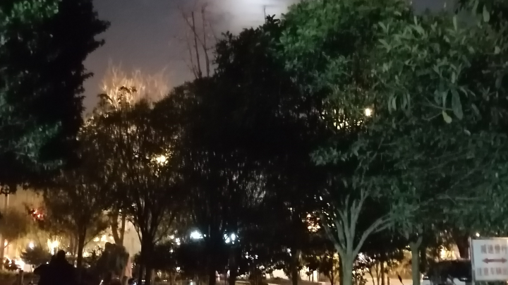 使命召唤手游版