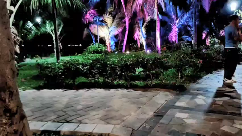 【2022-01-31 21点场】菜到极致小兰摧：三亚户外聊会天呀！除夕快乐哦
