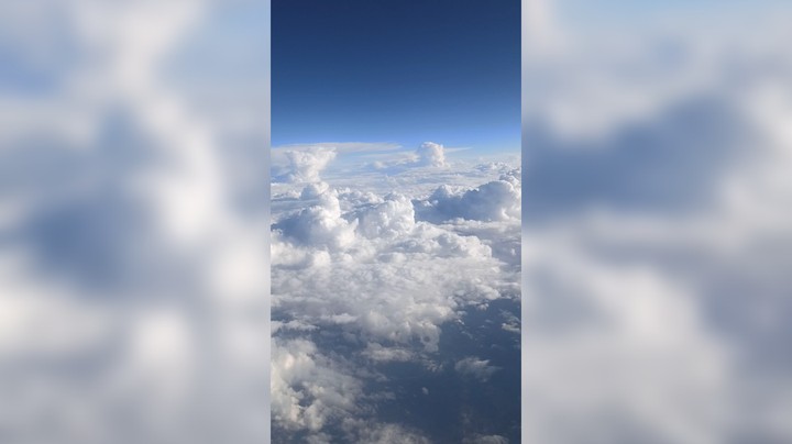 自由的飞翔吧！