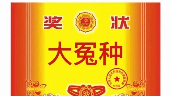 直播回放