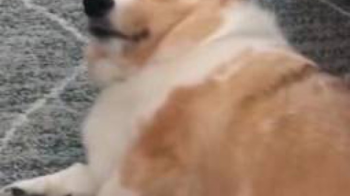 zzz