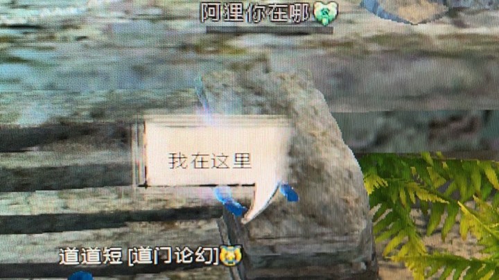 幻术录播