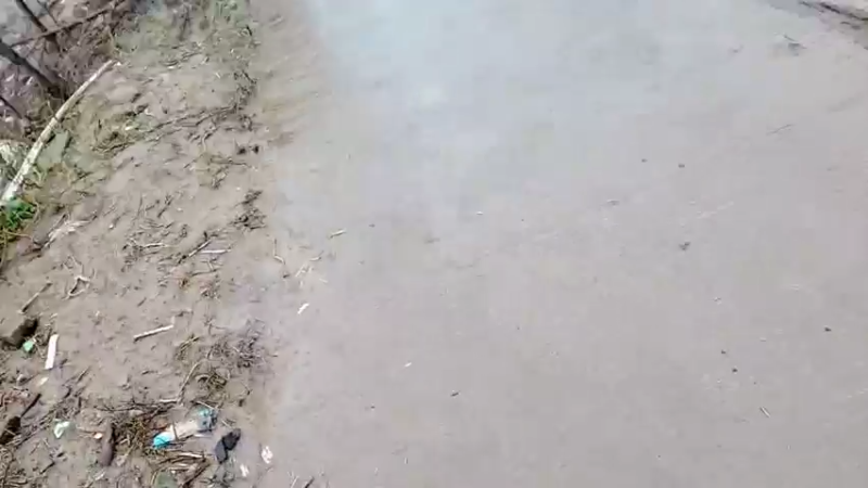 【2022-02-02 10点场】洪湖小肖：祝大家新年快乐  万事如意337852