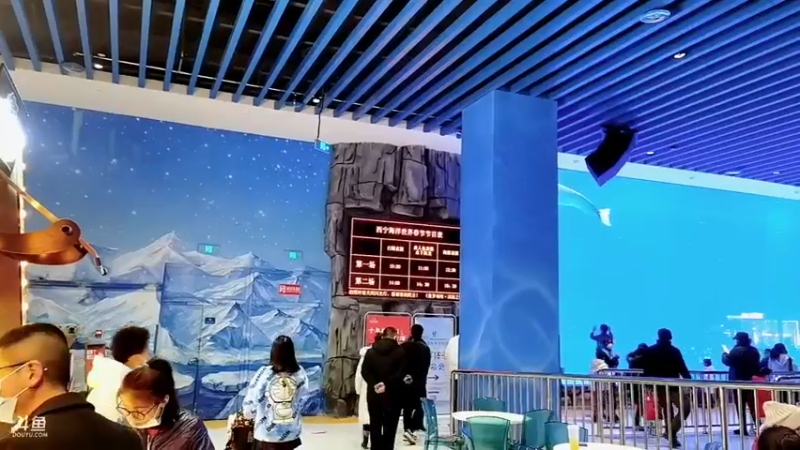 【2022-02-02 16点场】若竹竹竹竹子：今天逛逛主题乐园