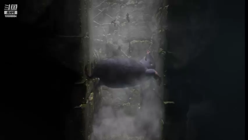 【2022-02-03 16点场】努力不菜的菜菜子：双人成行之身残志坚