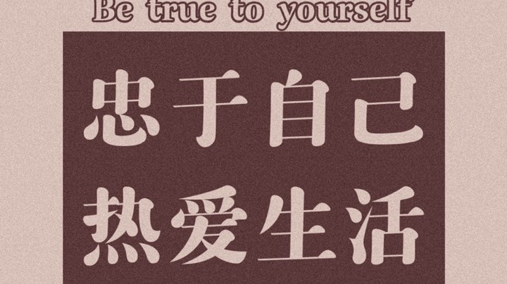 爪子日记