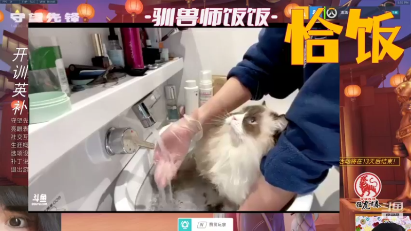 【2022-02-03 17点场】淑女主播犬次郎：敷衍的头在这里