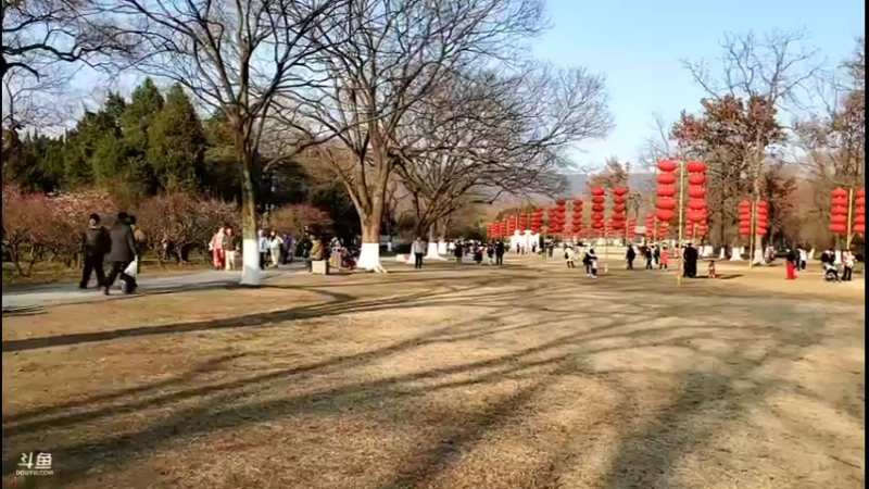 【2022-02-04 16点场】刘灶灶：去外面溜达溜达
