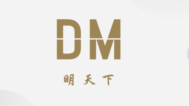 DM.战队友谊赛