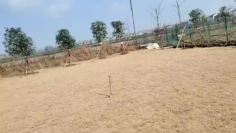 【2022-02-04 13点场】洪湖小肖：祝大家新年快乐  万事如意337852