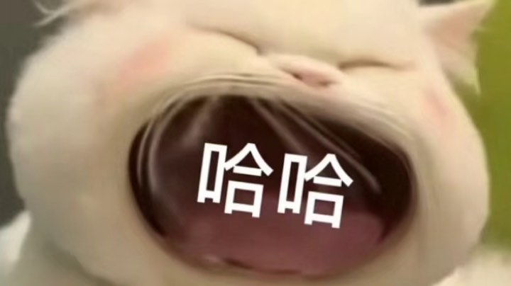 爪子日记
