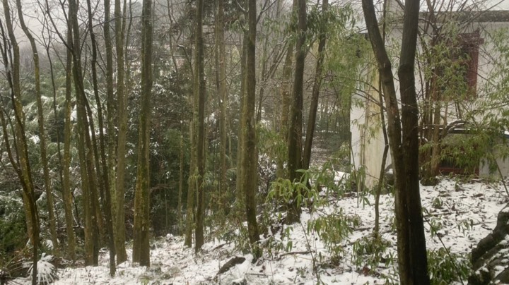 上山看雪