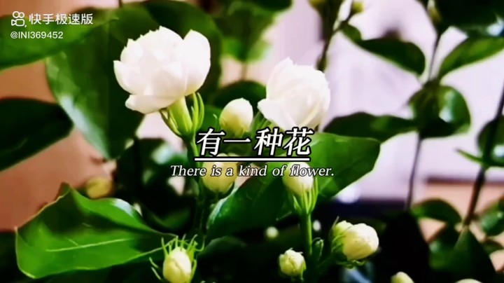 加油