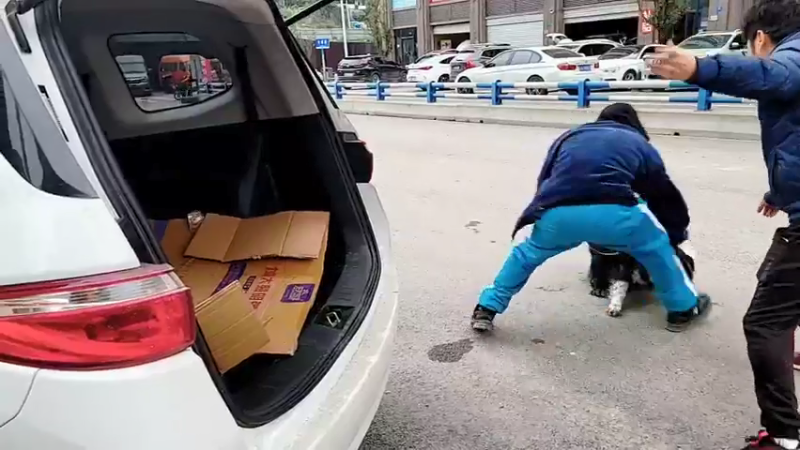 【2022-02-06 14点场】逐梦兄弟：十一点开播！