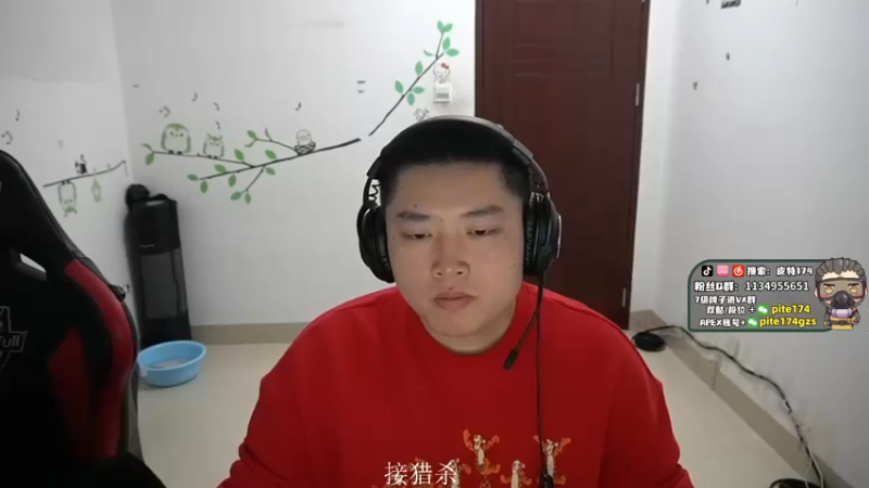 【2022-02-04 20点场】皮特174：今天要干什么？
