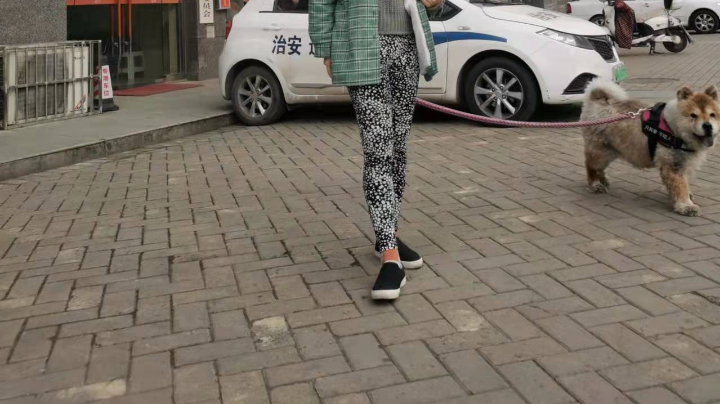 虽然你爱乱哔哔我，但我还是爱你