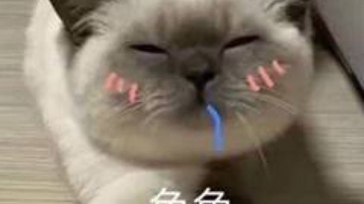三妹车