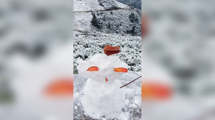 下雪啦～