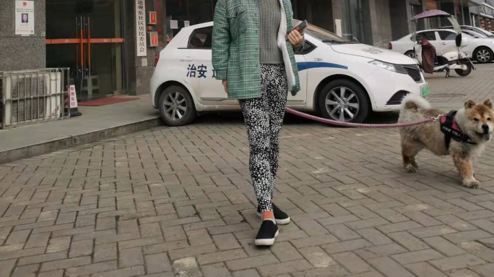 虽然你爱乱哔哔我，但我还是爱你