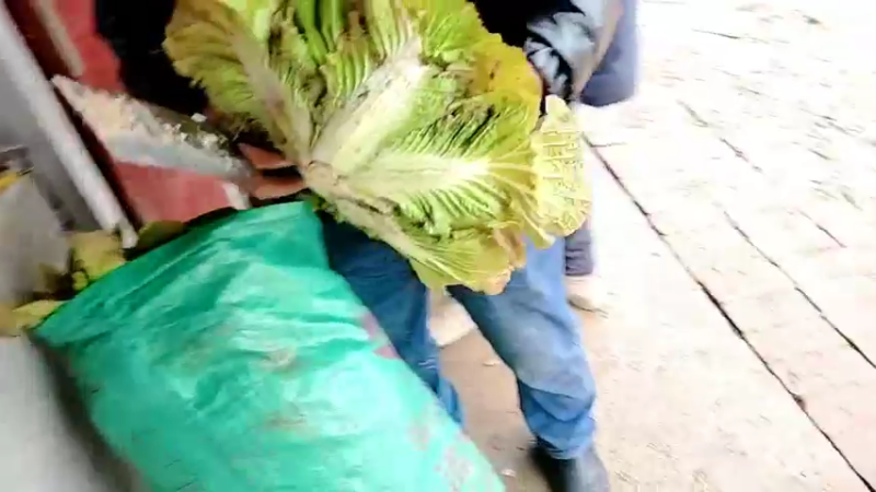 【2022-02-08 15点场】洪湖小肖：初九正式开播了