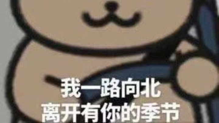 竞技场挨打日常
