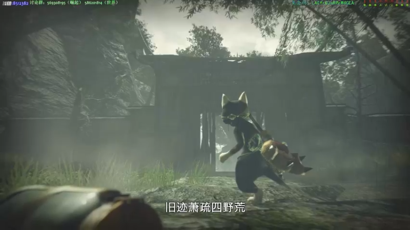 【2022-02-05 22点场】呜喵之王：【老猫】新年好！猎一个？