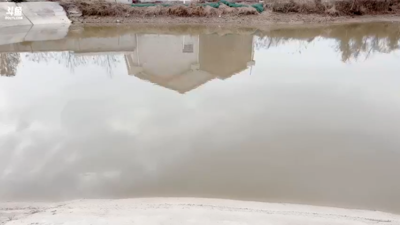 【2022-02-09 15点场】白菇凉：白菇凉:新年快乐呀我的宝