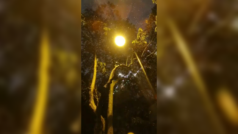 杭州今年的第一场雪！
