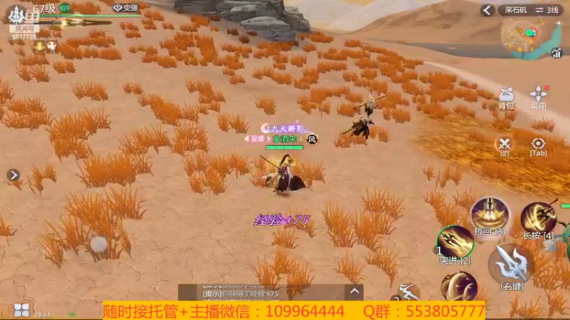 【2022-02-09 08点场】新征成：祝：虎年大吉大利，虎气冲天！