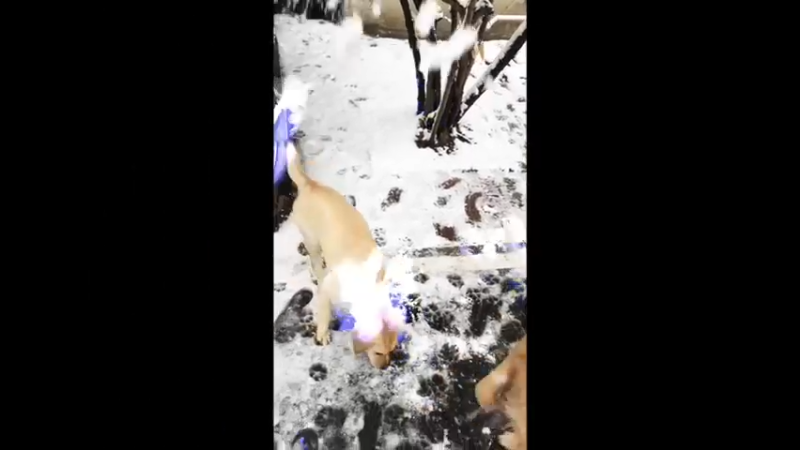 随拍