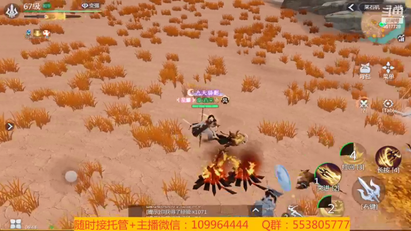 【2022-02-09 06点场】新征成：祝：虎年大吉大利，虎气冲天！