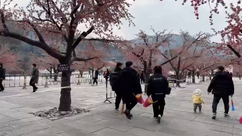 【2022-02-05 16点场】肉仔OvO：【小奶团】今天跟张飞拜把子去！